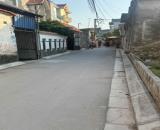 Đất Thường Tín, Đầu tư đất ô tô đỗ Lô góc trục chính cực đẹp tại Đào Xá Thắng Lợi, Thường