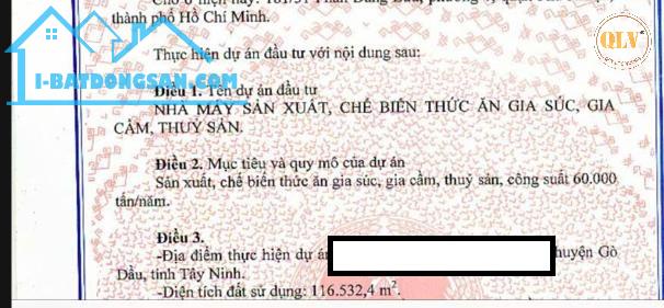 BÁN ĐẤT XÂY DỰNG NHÀ XƯỞNG – GÒ DẦU, TÂY NINH – 36.176m² - 5