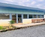 Nhà Vườn 1.300m2 Bình Chánh giá chỉ 5.65 tỷ.