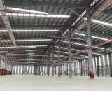 Cho thuê nhà xưởng 26.000M² mới xây dưng tại Cẩm Giàng Hải Dương