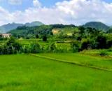 Bán nhà cấp 4 đẹp Tản Lĩnh, 311m, gần UB xã Suối Hai, TL414, Vườn QG Ba Vì, 2.36tỷ