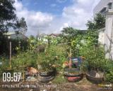 Bán 200m2 đất ở thuộc KQH Nguyễn Khoan Văn số 7/31 Nguyễn Đăng Sở, Phú Bài , TP Huế.