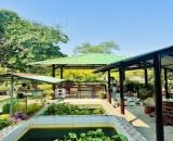 Gấp bán nhà Thủ Đức, dt 1930m2, giá 23 tỷ, gần MT Lò Lu.