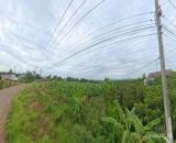 Bán Lô Đất nằm sau sân bay long thành, Đồng Nai.