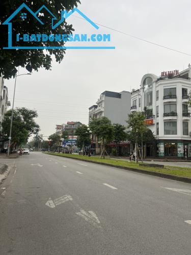 Bán lô đất gần 240m2 mặt tiền 12m đường đôi Nguyễn Văn Linh, TP Hải Dương, KD cưc tốt - 1