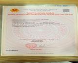 CẦN BÁN GẤP LÔ ĐẤT 223M2 NẰM NGAY TRUNG TÂM LONG ĐIỀN BÀ RỊA VŨNG TÀU