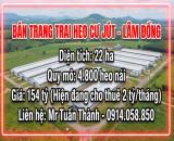 Bán Trang trại heo 22 Ha 4.800 heo nái -Cư Jut,  Đăk Nông. Đang cho thuê 2 tỷ/tháng