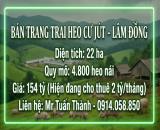 Siêu Trang Trại Heo 22ha - Thu Nhập cho thuê 24 Tỷ/Năm
