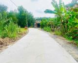🔻590TR🔻CHỦ GỬI 2 LÔ LIỀN KỀ 5X35M THỔ CƯ HẾT ĐẤT ĐƯỜNG BÊ TÔNG,PHƯỚC THẠNH,TÂY NINH🔻🔻