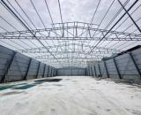 Cho thuê kho xưởng mới xây dựng 1100m2 tại Tam Hiệp, Hát Môn, Hà Nội