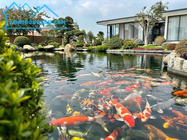 ❌❌❌Chuyển nhượng nhà vườn tại Dương Kinh Hoà Nghĩa. Đối diện Vinhomes Dương Kinh - 3