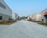Cho thuê kho xưởng tại Hòa Lạc – Hà Nội, diện tích 1.500m²  PCCC tự động, chỉ 52 triệu.