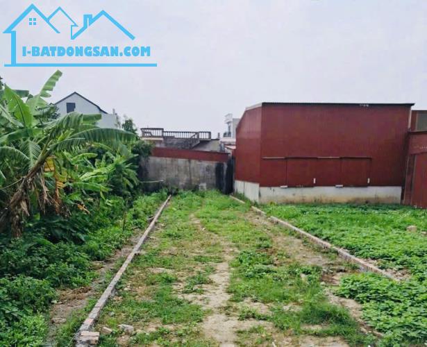 Bán đất Thuận Thiên - Kiến Thụy - Hải Phòng - 2