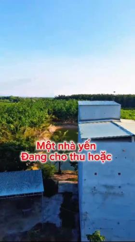 ĐẦU TƯ LÀ SINH LỜI - CHÍNH CHỦ CẦN BÁN ĐẤT VIEW NHÀ YẾN – Xã Trà Tân, Bình Thuận - 1