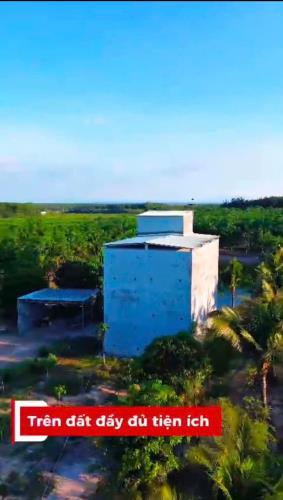 ĐẦU TƯ LÀ SINH LỜI - CHÍNH CHỦ CẦN BÁN ĐẤT VIEW NHÀ YẾN – Xã Trà Tân, Bình Thuận - 2