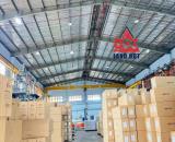 XT119 cho thuê xưởng sản xuất, tiếp nhận linh hoạt ngành nghề, có sẵn nhiều cầu trục