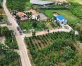 BÁN LÔ ĐẤT ĐẸP TẠI TÀ NUNG - ĐÀ LẠT. Gần nhiều khu du lịch nổi tiếng tại Tà Nung