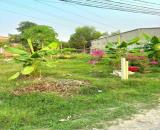 ✅️550TR_✅️1/PHƯỚC ĐÔNG PHƯỚC THẠNH CÁCH NHỰA 200M FULL THỔ 5X23M ✅️✅️