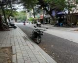 Bán Nhà Mặt Phố Nguyễn Văn Ngọc Ba Đình 52m2-2T Pháp Lý Sạch 30 Tỷ Nguyễn Văn Ngọc.