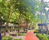 Bán CHCC Mulberry Lane Mỗ Lao 123m 4pn full đồ khu chung cư như resort với khuông viên xan