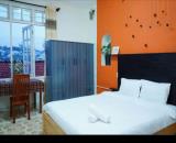 Cho thuê homestay vila  Phan Chu Trinh  đà đat 11pn - 9wc, giá thuê 17tr/tháng