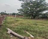 Đất Bán HXH Full Thổ Cư 1/ Nguyễn Thị Sưa 1455m2 Giá Chỉ 19.5 Tỷ