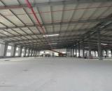 Cho thuê kho xưởng mới với diện tích 1500m2, PCCC tự động, gần cảng Đình Vũ