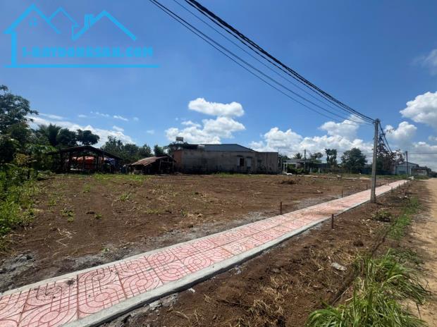 💥 F0 ĐỪNG BỎ LỠ – ĐẤT 6x20 CHỈ 360 TRIỆU, CÒN 2 LÔ CUỐI! 💥 - 1