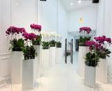 Bán nhà Gò Vấp, MTKD Nguyễn Thái Sơn, gần sân bay Tân Sơn Nhất, Phạm Văn Đồng,125M2, 23tỷ