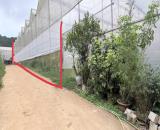 Bán gấp đất NN phân lô cách bệnh viện sản nhi Lâm Đồng, phường 7 5km