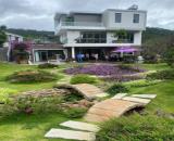 Cho thuê villa sân vườn 12 phòng ngủ gần đèo Pren Đà Lạt 35tr/tháng