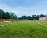 Đất Phú Cát 105m2 mặt tiền 6.8m - sát quỹ đất Đại học - giá đầu tư chỉ 3.2 tỷ