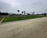 🔥 NHỈNH 400 TRIỆU – CÓ NGAY ĐẤT FULL THỔ CƯ NẰM GIỮA KCN VÀ UTOPIA RESORT - ĐƯỜNG CHẠY QU