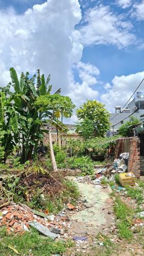 🔥 BÁN ĐẤT THỚI TAM THÔN – HÓC MÔN | NGANG 10M HIẾM | 179M² | CHỈ 4.1 TỶ TL 🔥 📍 Vị trí đ