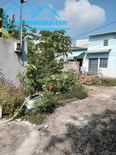 🔥 BÁN ĐẤT THỚI TAM THÔN – HÓC MÔN | NGANG 10M HIẾM | 179M² | CHỈ 4.1 TỶ TL 🔥 📍 Vị trí đ - 2