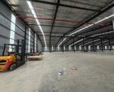 Cần cho thuê xưởng đang trống 5000m² trong KCN Sơn Cẩm Thái Nguyên đầy đủ, FDI,EPE sx đa n