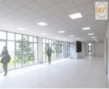 CHO THUÊ NHÀ XƯỞNG KCN LONG HẬU, CẦN GIUỘC, LONG AN – 12.000m²