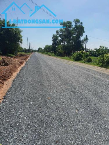 Bán đất mt đường nhựa Ấp Chánh, xã Tân Phú, Đức Hòa dt 2222m2 ( 2000m2 thổ) giá 12 tỷ - 1