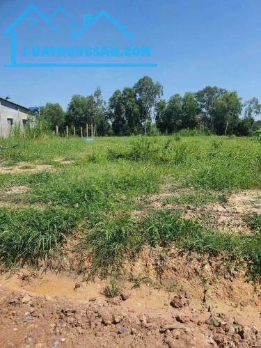 Bán đất mt đường nhựa Ấp Chánh, xã Tân Phú, Đức Hòa dt 2222m2 ( 2000m2 thổ) giá 12 tỷ - 3