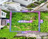 Bán Đất Biệt Thự Đẹp Đường Nguyễn Văn Hưởng 485m2(19mx25,5m) XD Hầm 4 Tầng-Giá 116 Tỷ