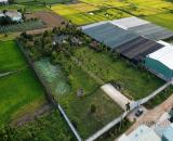 🏗️ ĐẤT MẶT TIỀN XUÂN THỚI SƠN – GẦN 6.400M² – NGANG 65M – PHÙ HỢP KHO XƯỞNG, DỰ ÁN