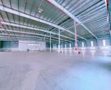 XT137 nhà xưởng xây dựng cho thuê, KCN hiện đại thu hút đầu tư nhiều ngành nghề