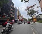 Bán Nhà Mặt Phố Nguyễn Thái Học Ba Đình 120m2-9T Sẵn Dòng Tiền Sổ Hoàn Công 100 Tỷ.