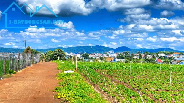Đất hẻm pê tông 5m cos pha, liên hiệp, đức trọng cũ, lâm đồng