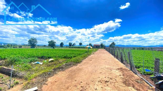 Đất hẻm pê tông 5m cos pha, liên hiệp, đức trọng cũ, lâm đồng - 2