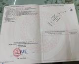 HOT HOT – CHÍNH CHỦ CẦN BÁN LÔ ĐẤT -GIÁP THỊ TRẤN NGỌC LẶC Tại Xã Cao Ngọc, Ngọc Lặc,
