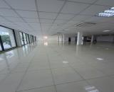 Cho thuê toà nhà văn phòng mới trung tâm cần thơ