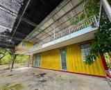 Bán farm Diên Thọ - Khánh Hoà 1.7ha giá 480k/m2. Cây ăn trái đang khai thác
