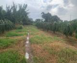 Đại Hạ Giá-Đất Vườn-Hàm Thạnh(Hàm thuận Nam)-Lâm Đồng-DT 1,4Ha,có 300m2TC