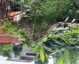 BÁN ĐẤT THỔ CƯ-75m2 tại Văn Giang, Hưng Yên